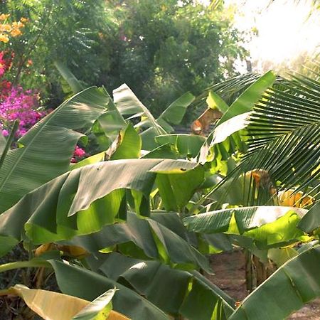 Lampsar Lodge Ndiongo Ngoại thất bức ảnh