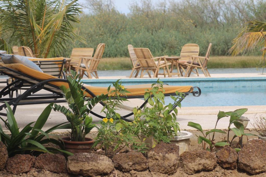 Lampsar Lodge Ndiongo Ngoại thất bức ảnh